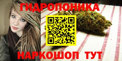прущие грибы Шебекино